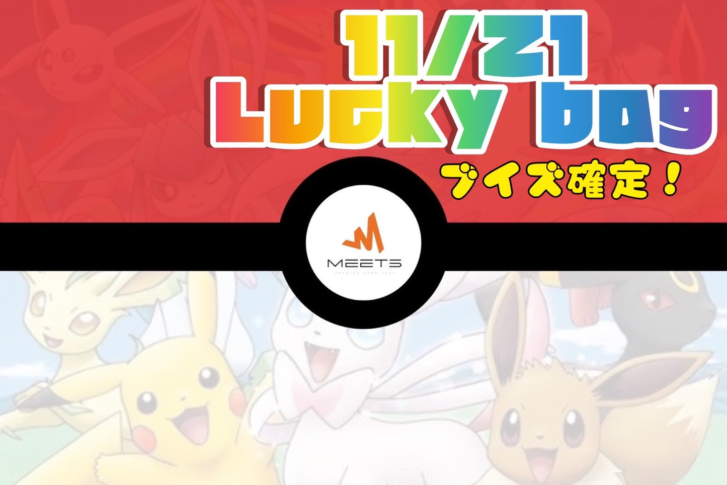 ブイズ確定!!ポケカLucky Bag (¥150,000ー)