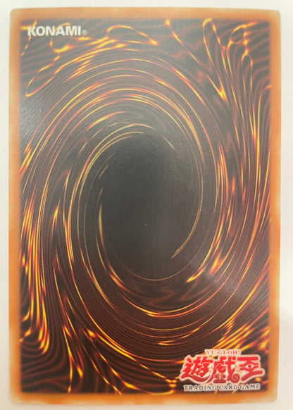 ブラックマジシャン　旧アジア　‘‘ ウルトラレア ‘‘  (SDY-006）「通常／モンスター」【状態A-】