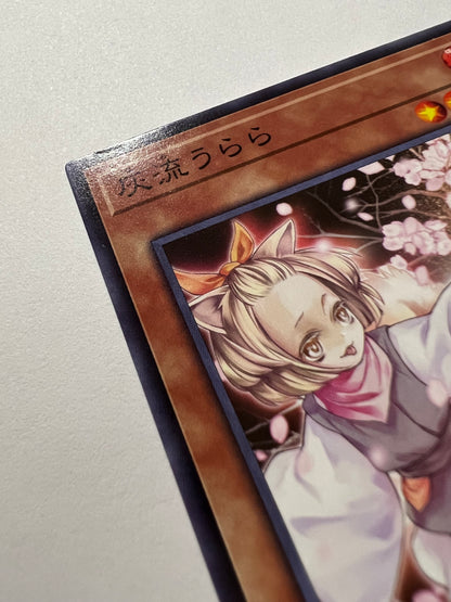 【状態C】灰流うらら“ ノーマル ” 「効果 モンスター」