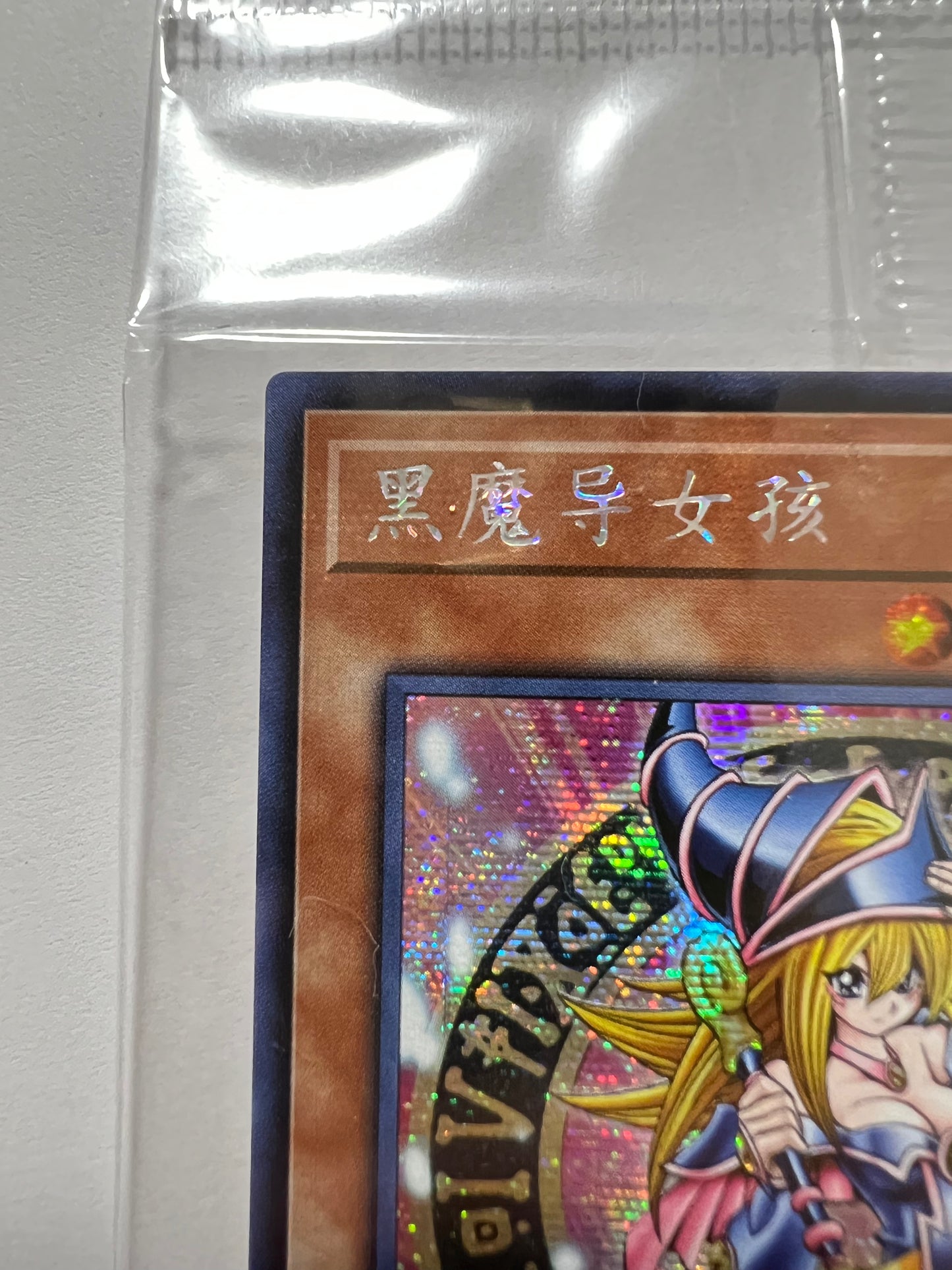 ★ハロウィン限定価格★【状態 未開封】☆ ブラックマジシャンガール “シークレットレア ” 中国　上海限定 (DS01-SC001)「効果/モンスター」