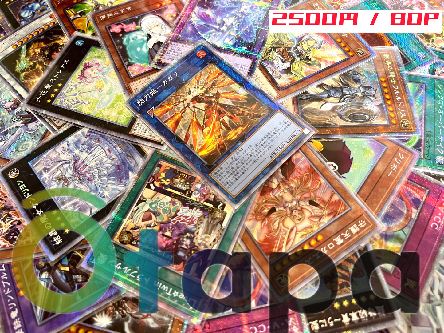 🎍01.16 OTAPAC🎍