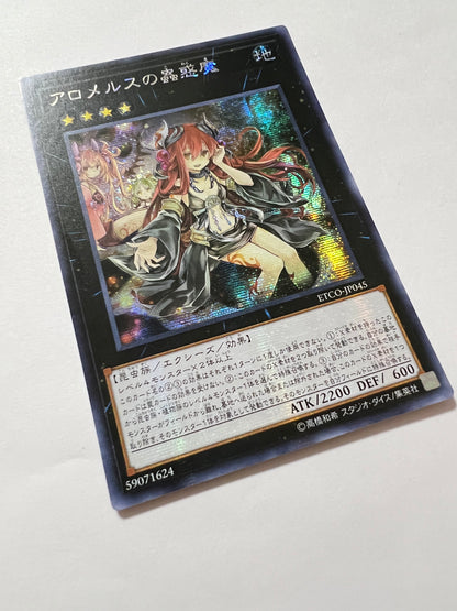 【七夕価格】☆アロメルスの蟲惑魔 ”アジア版シークレット"   (ETCO-JP045)「エクシーズ/効果/モンスター」