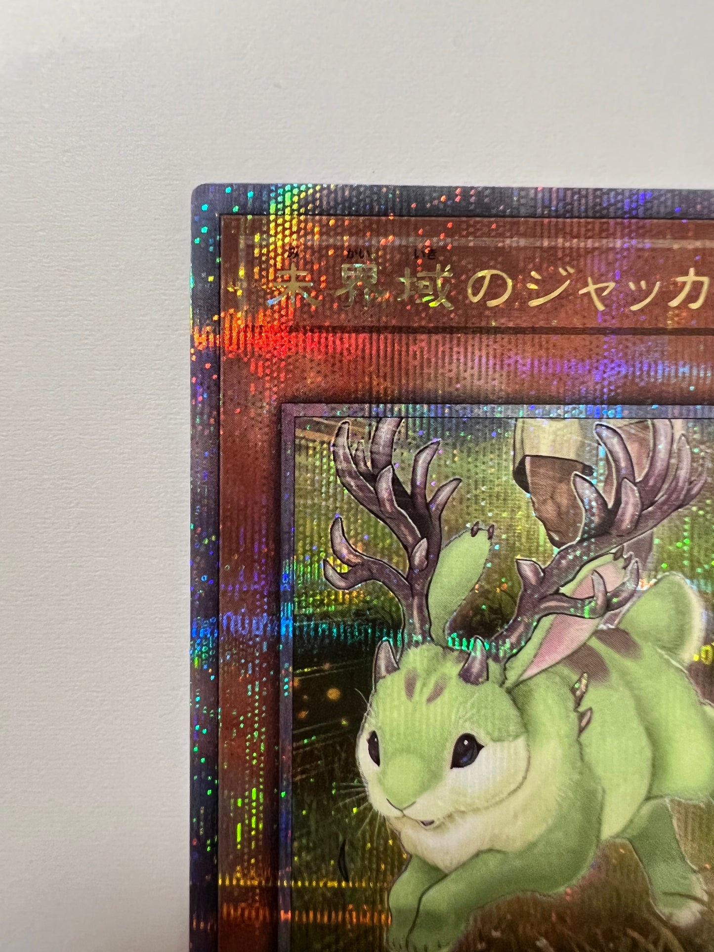 ★2周年セール★☆未界域のジャッカローブ “ 25thレア ” (RC04-JP014) 「効果/モンスター」【状態 A】