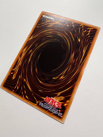 【特価品 】☆ブラック・マジシャン・ガール  “  ホログラフィック ” (DP23-JP000) 「効果 モンスター」